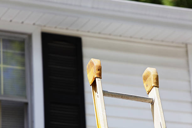 Best Custom Trim and Detailing for Siding  in Grandwood Park, IL